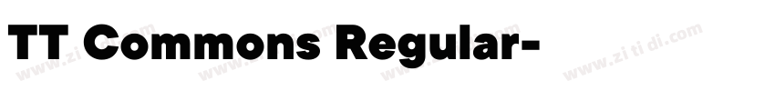 TT Commons Regular字体转换
